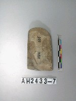 藏品(中型磨製石錛)的圖片